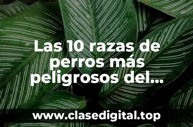 Las 10 razas de perros más peligrosos del mundo