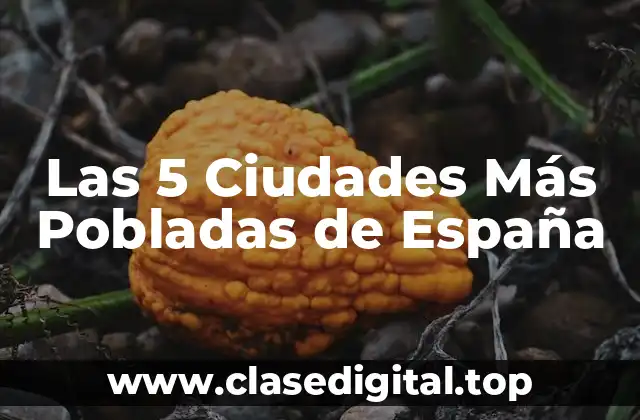 Las 5 Ciudades Más Pobladas de España