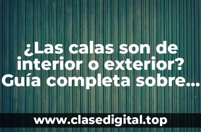 ¿Las calas son de interior o exterior? Guía completa sobre calas y su aplicación