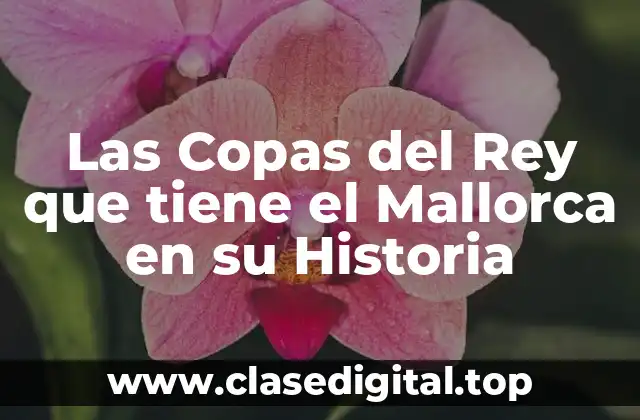 Las Copas del Rey que tiene el Mallorca en su Historia
