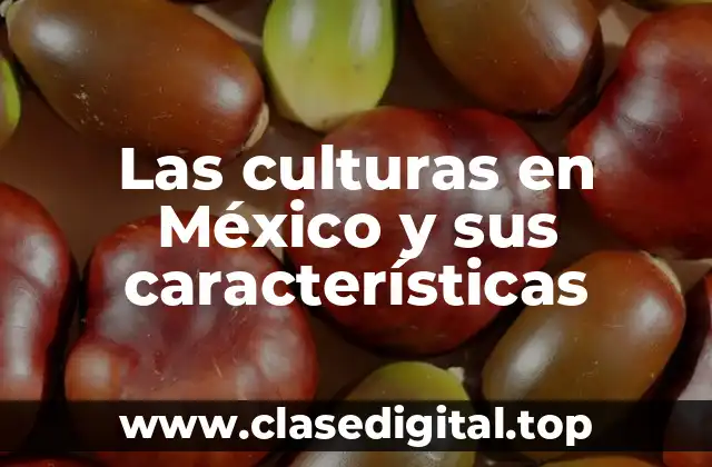 Las culturas en México y sus características
