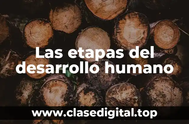 Las etapas del desarrollo humano