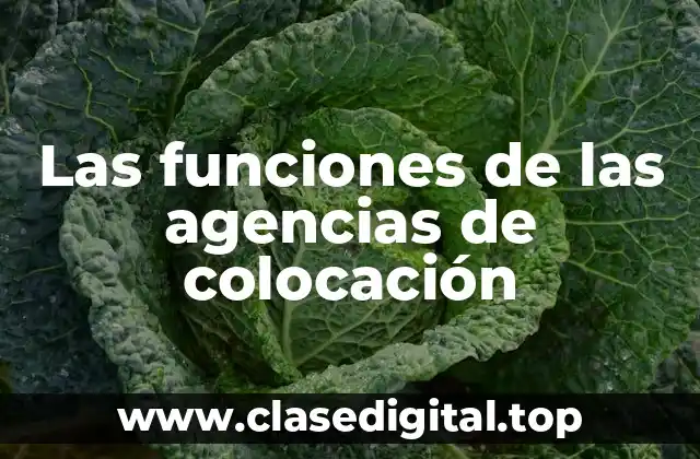 Las funciones de las agencias de colocación