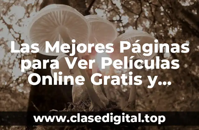 Las Mejores Páginas para Ver Películas Online Gratis y Seguras