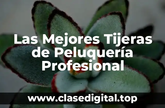 Las Mejores Tijeras de Peluquería Profesional