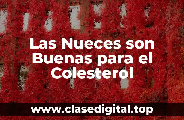 Las Nueces son Buenas para el Colesterol