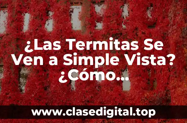 ¿Las Termitas Se Ven a Simple Vista? ¿Cómo Identificarlas?