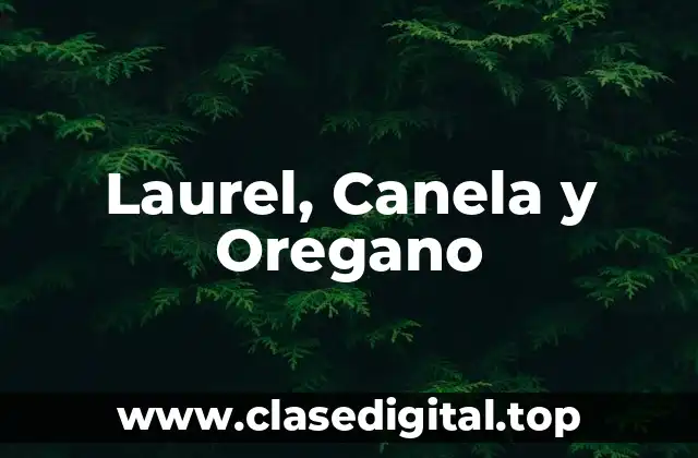 Laurel, Canela y Oregano
