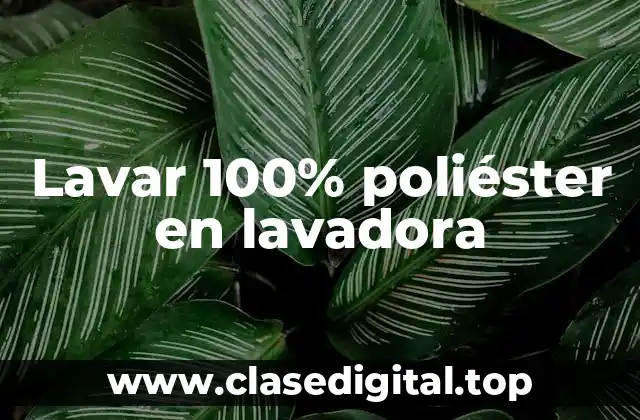 ¿Qué es el poliéster y por qué es importante su cuidado?