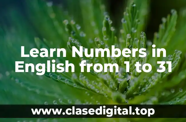 Learn Numbers in English from 1 to 31
