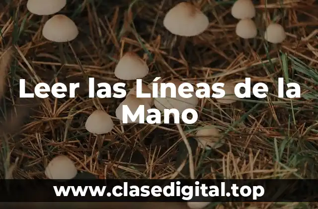 Leer las Líneas de la Mano