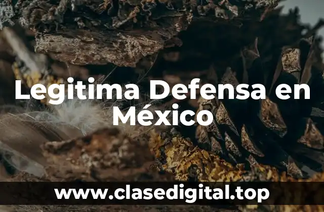 Legitima Defensa en México