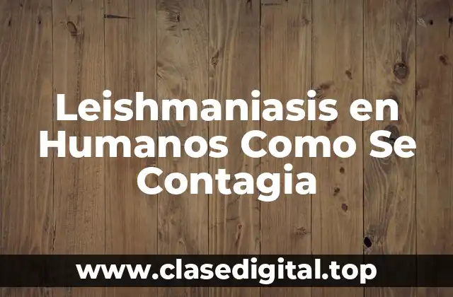 Leishmaniasis en Humanos Como Se Contagia