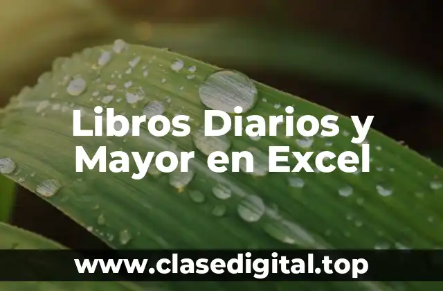 Libros Diarios y Mayor en Excel