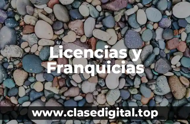Licencias y Franquicias