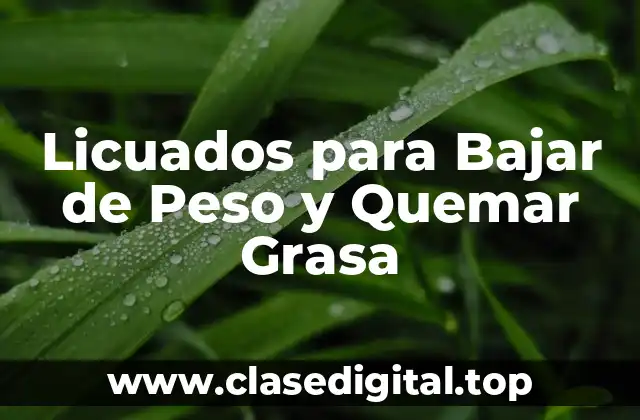 Licuados para Bajar de Peso y Quemar Grasa
