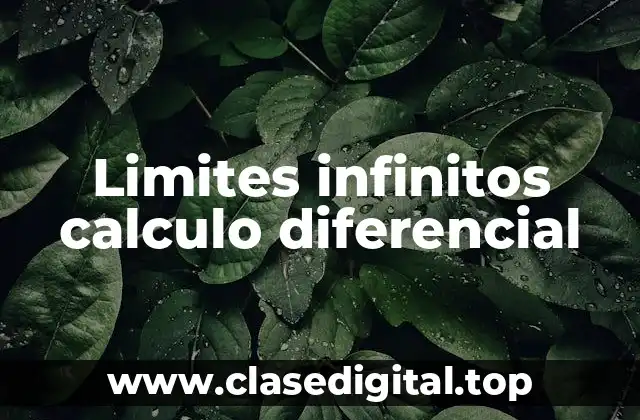 Limites infinitos calculo diferencial
