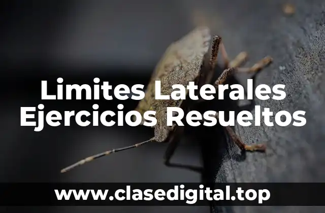 Limites Laterales Ejercicios Resueltos
