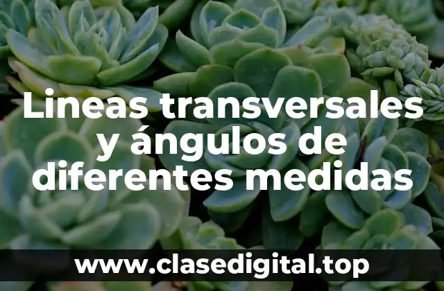 Ejemplos de líneas transversales