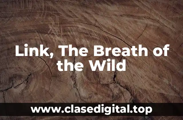 El Mundo de Hyrule: Un Entorno Abierto y Vasto