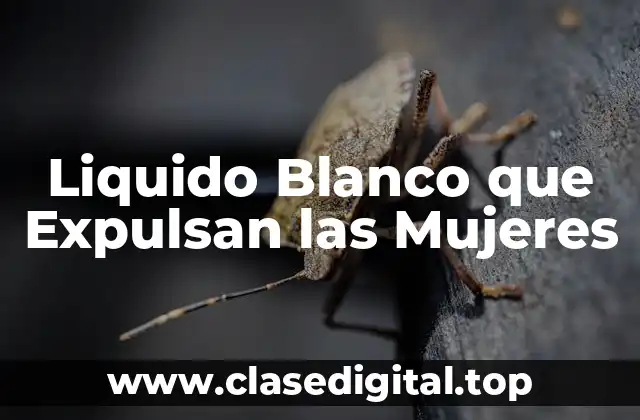 Liquido Blanco que Expulsan las Mujeres