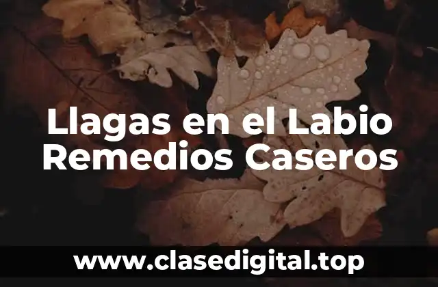 Llagas en el Labio Remedios Caseros