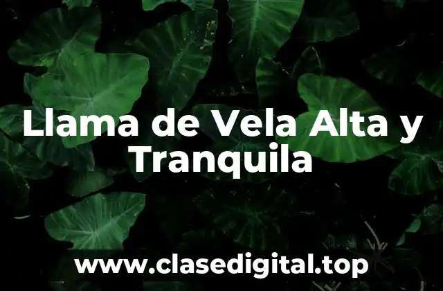 Llama de Vela Alta y Tranquila