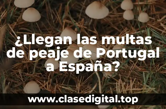 ¿Llegan las multas de peaje de Portugal a España?