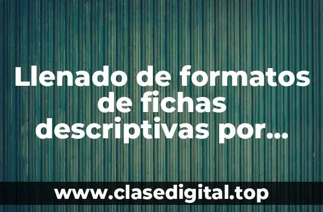 Llenado de formatos de fichas descriptivas por alumno
