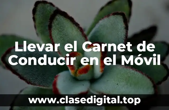 Llevar el Carnet de Conducir en el Móvil