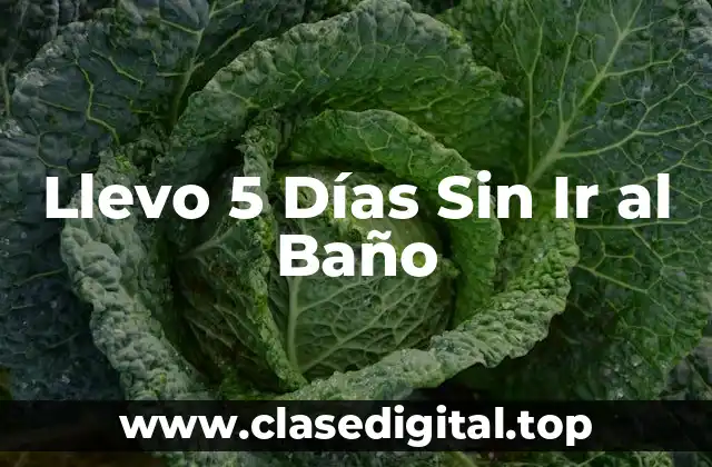 Llevo 5 Días Sin Ir al Baño