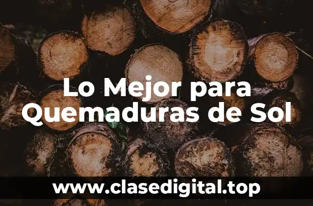 Lo Mejor para Quemaduras de Sol