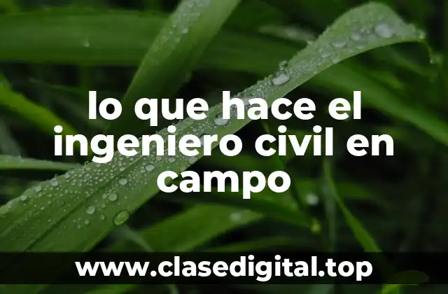 lo que hace el ingeniero civil en campo