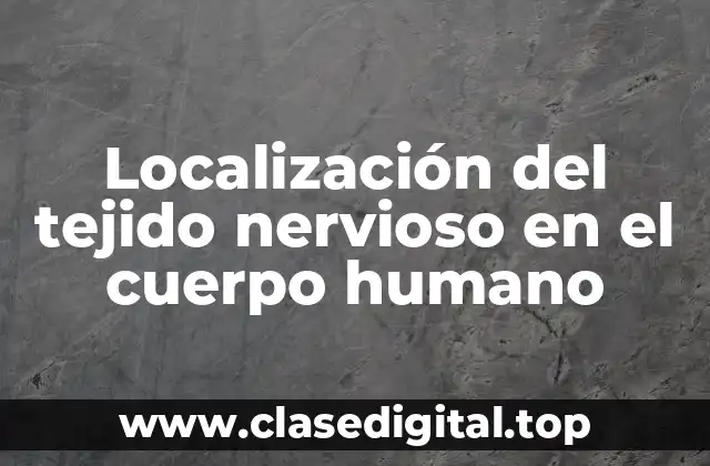 Ejemplos de localización del tejido nervioso en el cuerpo humano
