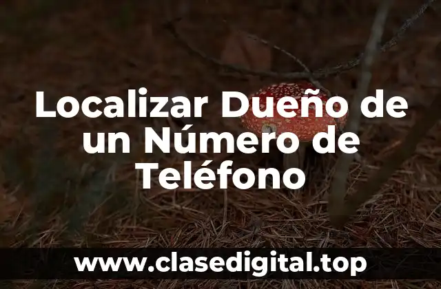 Localizar Dueño de un Número de Teléfono