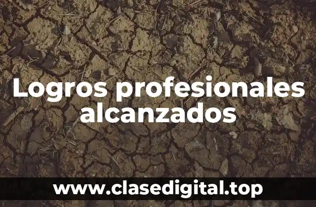 Logros profesionales alcanzados