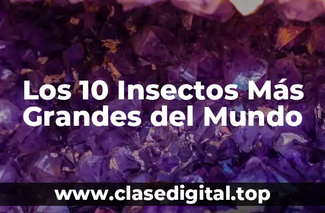 Los 10 Insectos Más Grandes del Mundo