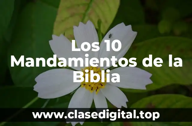 Los 10 Mandamientos de la Biblia