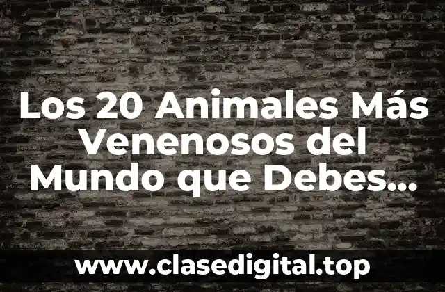Los 20 Animales Más Venenosos del Mundo que Debes Conocer