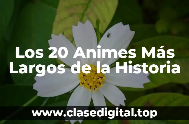 Los 20 Animes Más Largos de la Historia