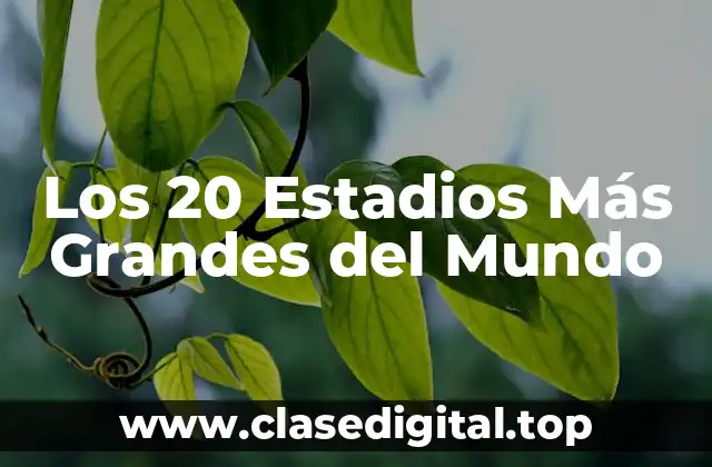 ¿Cuál es el Estadio Más Grande del Mundo?