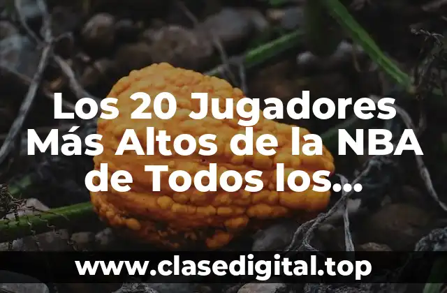 Los 20 Jugadores Más Altos de la NBA de Todos los Tiempos