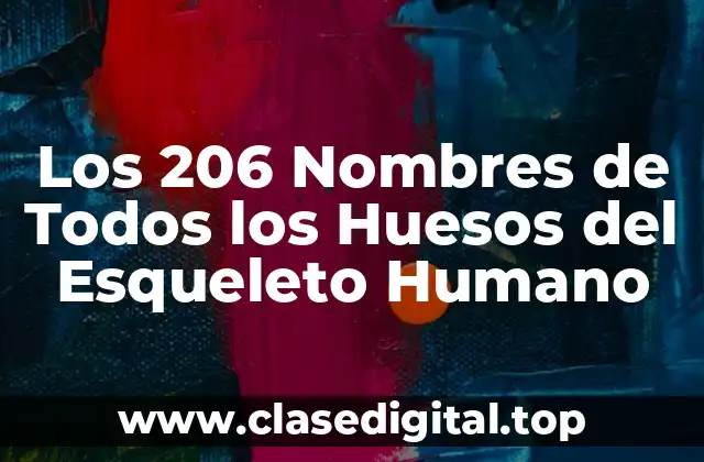 Los 206 Nombres de Todos los Huesos del Esqueleto Humano
