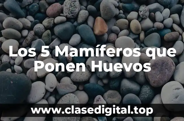 Los 5 Mamíferos que Ponen Huevos