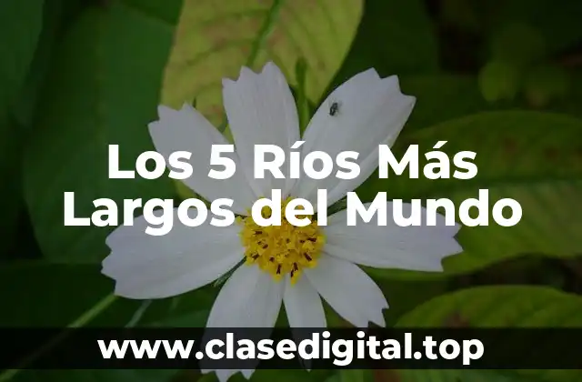 Los 5 Ríos Más Largos del Mundo