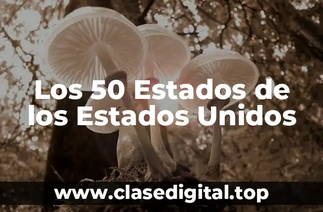 Los 50 Estados de los Estados Unidos