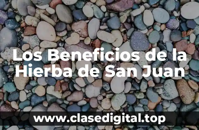¿Qué es la Hierba de San Juan y Cómo Funciona?