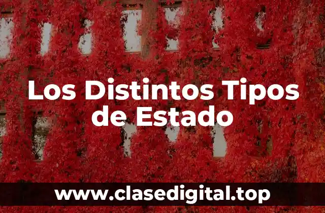 Los Distintos Tipos de Estado