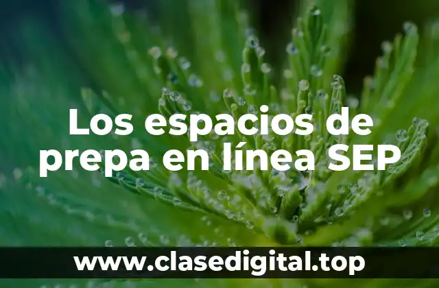 Los espacios de prepa en línea SEP