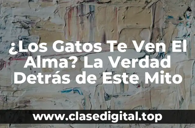 ¿Los Gatos Te Ven El Alma? La Verdad Detrás de Este Mito